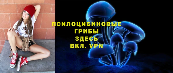 таблы Богданович