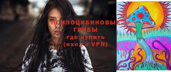 таблы Богданович