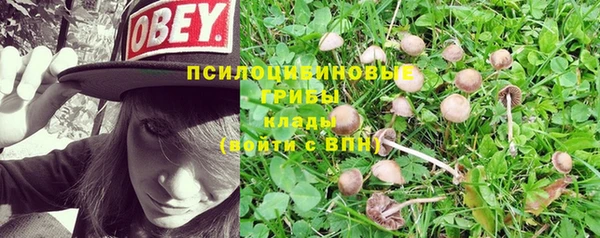 таблы Богданович